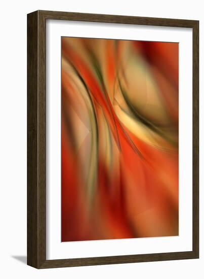 Happy New Year-Ursula Abresch-Framed Photographic Print