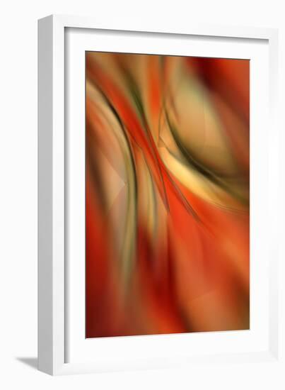 Happy New Year-Ursula Abresch-Framed Photographic Print