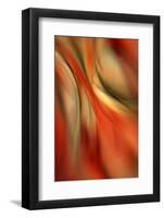 Happy New Year-Ursula Abresch-Framed Photographic Print