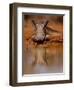 Happy Pig, 2019,-Eric Meyer-Framed Photographic Print