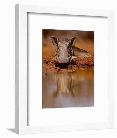 Happy Pig, 2019,-Eric Meyer-Framed Photographic Print