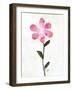 Happy Pink-OnRei-Framed Art Print