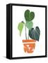 Happy Plants II-June Erica Vess-Framed Stretched Canvas