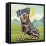 Happy Rottie-Kim Curinga-Framed Stretched Canvas