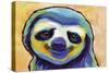 Happy Sloth-Corina St. Martin-Stretched Canvas