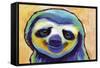 Happy Sloth-Corina St. Martin-Framed Stretched Canvas