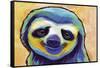 Happy Sloth-Corina St. Martin-Framed Stretched Canvas