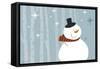 Happy Snowman-Anne Cote-Framed Stretched Canvas