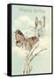 Happy Spring, Butterfly Fairies-null-Framed Stretched Canvas