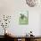 Happy Spring, Dressed Frog and Dog-null-Stretched Canvas displayed on a wall