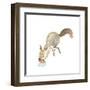 Happy Squirrel-null-Framed Art Print