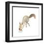 Happy Squirrel-null-Framed Art Print