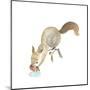 Happy Squirrel-null-Mounted Art Print