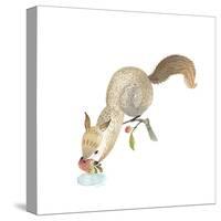 Happy Squirrel-null-Stretched Canvas