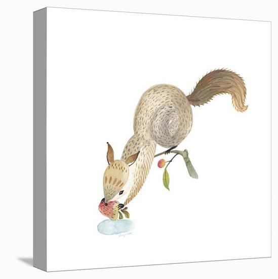 Happy Squirrel-null-Stretched Canvas