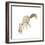 Happy Squirrel-null-Framed Art Print