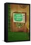 Happy St. Patrick's Day, Green Screen TV-null-Framed Stretched Canvas