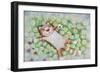 Happy Summer-Oxana Zaika-Framed Giclee Print