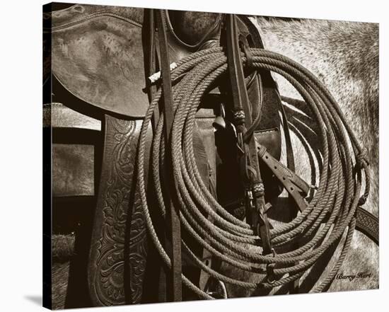 Happy Trails (sepia)-Barry Hart-Stretched Canvas