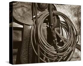 Happy Trails (sepia)-Barry Hart-Stretched Canvas