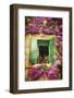 Happy Window-George Oze-Framed Photographic Print