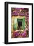 Happy Window-George Oze-Framed Photographic Print