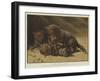 Happy Young Cubs-null-Framed Giclee Print