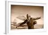 Happy Young Woman with Raised Hands  Flying on Airporte, Sepia Photo.-Aleksandar Todorovic-Framed Art Print