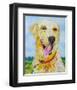 Happy!-null-Framed Art Print