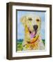 Happy!-null-Framed Art Print