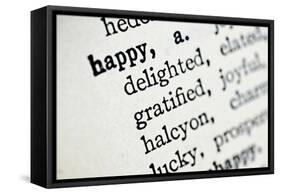 Happy-Amy Smith-Framed Stretched Canvas
