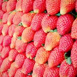 Row of Fresh Strawberry with Retro Filter Effect-happydancing-Photographic Print