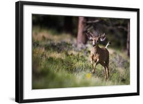 Happyyyyyyy…-Verdon-Framed Photographic Print