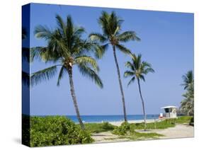 Hapuna Beach, Island of Hawaii (Big Island), Hawaii, USA-Ethel Davies-Stretched Canvas