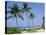 Hapuna Beach, Island of Hawaii (Big Island), Hawaii, USA-Ethel Davies-Stretched Canvas