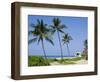 Hapuna Beach, Island of Hawaii (Big Island), Hawaii, USA-Ethel Davies-Framed Photographic Print