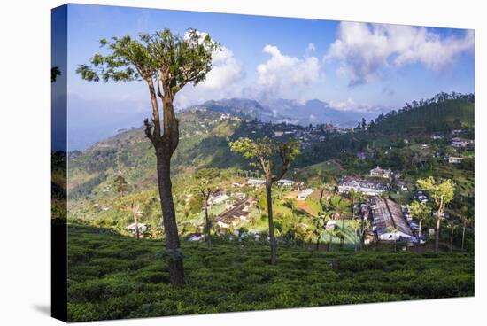 Haputale and a Tea Estate, Sri Lanka Hill Country, Nuwara Eliya District, Sri Lanka, Asia-Matthew Williams-Ellis-Stretched Canvas