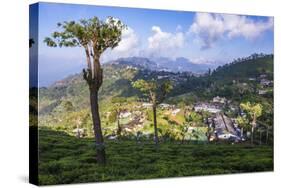 Haputale and a Tea Estate, Sri Lanka Hill Country, Nuwara Eliya District, Sri Lanka, Asia-Matthew Williams-Ellis-Stretched Canvas