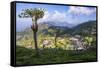 Haputale and a Tea Estate, Sri Lanka Hill Country, Nuwara Eliya District, Sri Lanka, Asia-Matthew Williams-Ellis-Framed Stretched Canvas