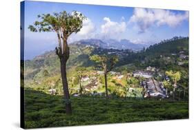 Haputale and a Tea Estate, Sri Lanka Hill Country, Nuwara Eliya District, Sri Lanka, Asia-Matthew Williams-Ellis-Stretched Canvas