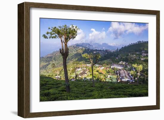 Haputale and a Tea Estate, Sri Lanka Hill Country, Nuwara Eliya District, Sri Lanka, Asia-Matthew Williams-Ellis-Framed Photographic Print