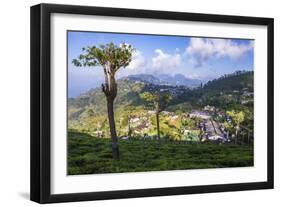 Haputale and a Tea Estate, Sri Lanka Hill Country, Nuwara Eliya District, Sri Lanka, Asia-Matthew Williams-Ellis-Framed Photographic Print