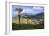 Haputale and a Tea Estate, Sri Lanka Hill Country, Nuwara Eliya District, Sri Lanka, Asia-Matthew Williams-Ellis-Framed Photographic Print