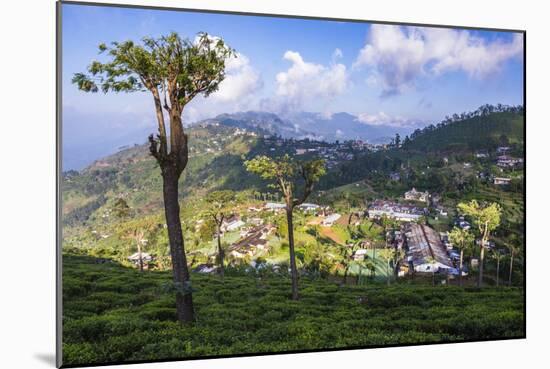 Haputale and a Tea Estate, Sri Lanka Hill Country, Nuwara Eliya District, Sri Lanka, Asia-Matthew Williams-Ellis-Mounted Photographic Print