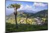 Haputale and a Tea Estate, Sri Lanka Hill Country, Nuwara Eliya District, Sri Lanka, Asia-Matthew Williams-Ellis-Mounted Photographic Print