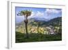 Haputale and a Tea Estate, Sri Lanka Hill Country, Nuwara Eliya District, Sri Lanka, Asia-Matthew Williams-Ellis-Framed Photographic Print