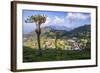 Haputale and a Tea Estate, Sri Lanka Hill Country, Nuwara Eliya District, Sri Lanka, Asia-Matthew Williams-Ellis-Framed Photographic Print