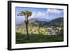 Haputale and a Tea Estate, Sri Lanka Hill Country, Nuwara Eliya District, Sri Lanka, Asia-Matthew Williams-Ellis-Framed Photographic Print