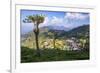 Haputale and a Tea Estate, Sri Lanka Hill Country, Nuwara Eliya District, Sri Lanka, Asia-Matthew Williams-Ellis-Framed Photographic Print