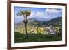 Haputale and a Tea Estate, Sri Lanka Hill Country, Nuwara Eliya District, Sri Lanka, Asia-Matthew Williams-Ellis-Framed Photographic Print